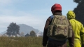 Trustworthy Companions in DayZ: How to Identify Players You Can Rely On-1516