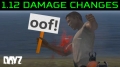 Damage Changes in DayZ ...