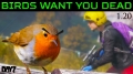 New Bird Sounds Give Away Your Position in DayZ